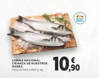 Supercor Lubina nacional crianza de nuestros mares oferta