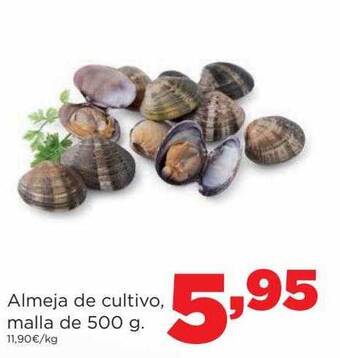 Alimerka Almeja de cultivo malla oferta