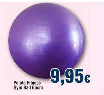 FROIZ Pelota fitness gym ball 65cm oferta