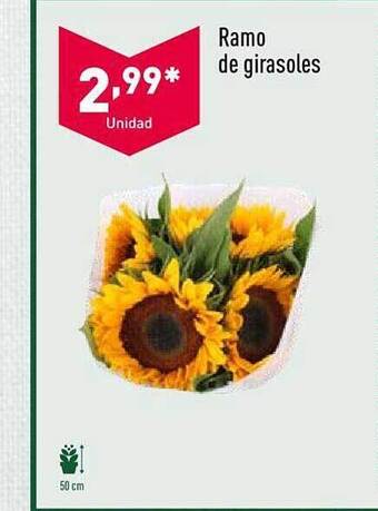 ALDI Ramo de girasoles oferta
