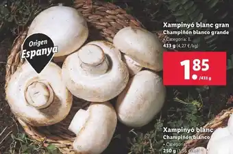 Lidl Xampinyó Blanc Gran oferta