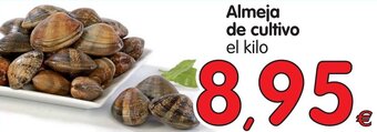 Alimerka Almeja de cultivo oferta