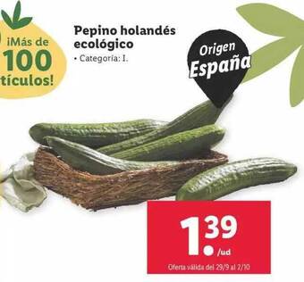 Lidl Pepino holandés ecológico oferta
