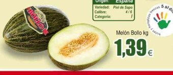 FROIZ Melón Bollo kg oferta