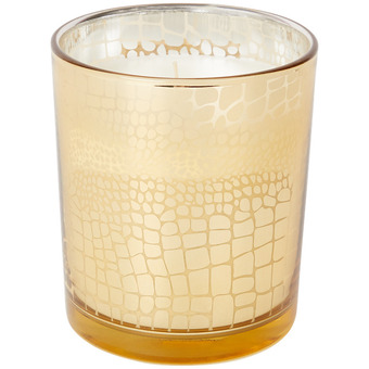 Action Vela aromática en vidrio con estampado de cocodrilo oferta