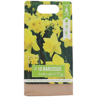 Action Bulbos de flores oferta