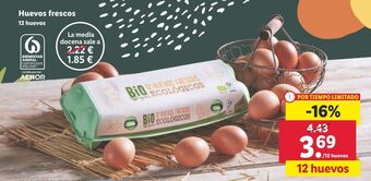 Lidl Huevos oferta