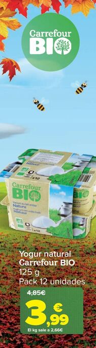 Carrefour Yogur natural carrefour bio 125 g oferta