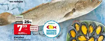 Dia Supermercados Corvina oferta