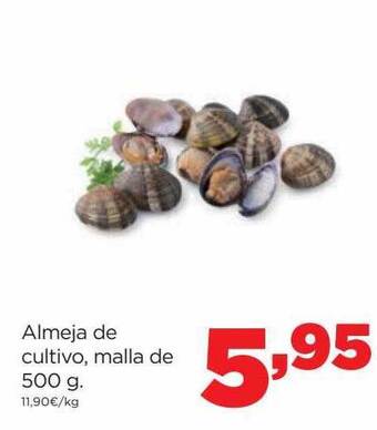 Alimerka Almeja de cultivo oferta