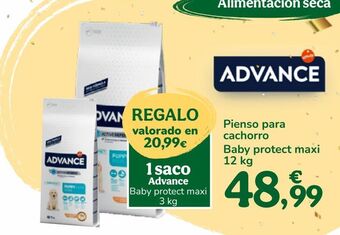 TiendAnimal Pienso para perros advance oferta
