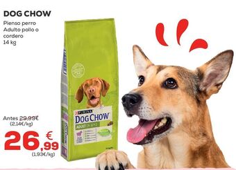 Kiwoko Pienso para perros oferta