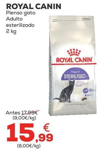 Kiwoko Pienso para gatos oferta