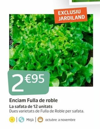 Jardiland Enciam fulla de roble oferta