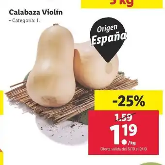 Lidl Calabaza violín oferta