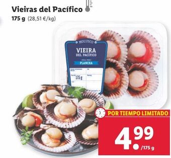 Lidl Vieiras oferta
