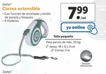 Correa Extensible