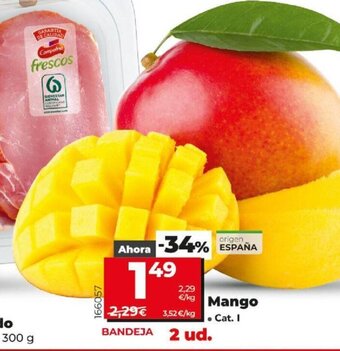 Dia Mango oferta