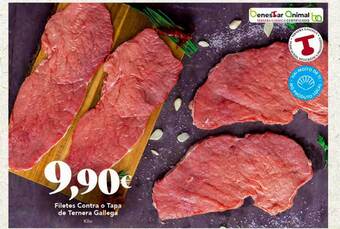 Gadis Filetes contra o tapa de ternera gallega oferta