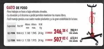 Coinfer Gato de foso oferta