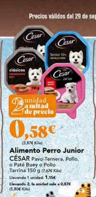 Gadis Alimento perro junior césar oferta
