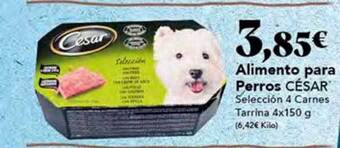 Gadis Alimento para perros césar oferta