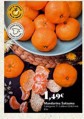 Gadis Mandarina satsuma oferta
