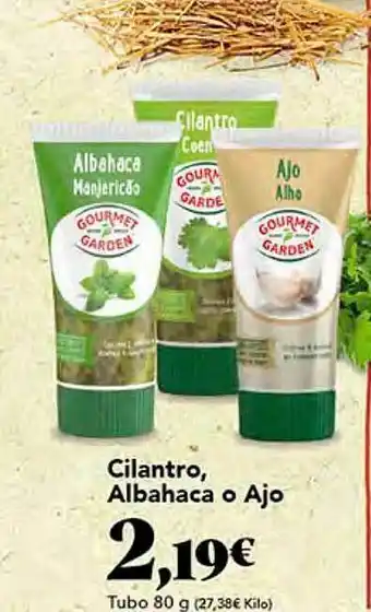 Cilantro albahaca o ajo