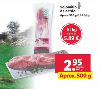 Lidl Solomillo de cerdo oferta