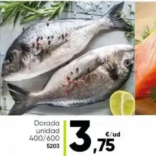 Family Cash Dorada unidad oferta