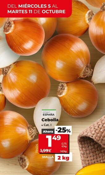 Dia Cebolla oferta