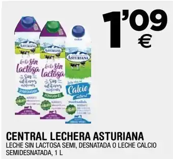 BM Supermercados Central lechera asturiana leche sin lactosa semi, desnatada o leche calcio semidesnatada oferta