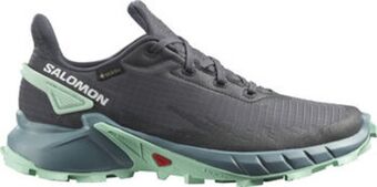 Intersport Zapatillas trail running alphacross 4 gtx oferta