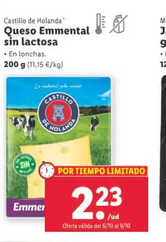 Queso Emmental Sin Lactosa