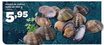 Alimerka Almeja de cultivo malla oferta