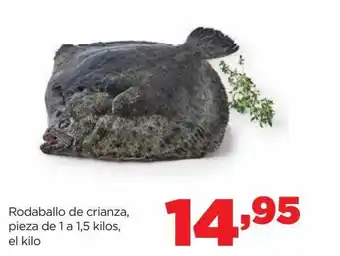 Alimerka Rodaballo de crianza pieza el kilo oferta