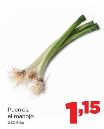 Alimerka Puerros el manojo oferta