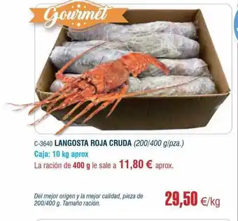 Abordo Langosta roja cruda oferta