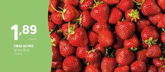 Coviran Fresa del Pais oferta