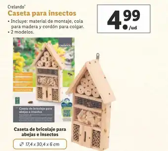 Lidl Casetas crelando oferta
