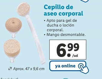 Lidl Cepillo De Aseo Corporal oferta