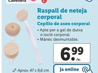 Lidl Cepillos oferta