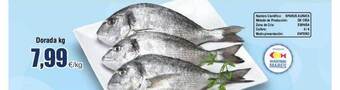 FROIZ Dorada kg oferta