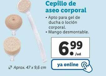 Lidl Cepillo de aseo corporal oferta
