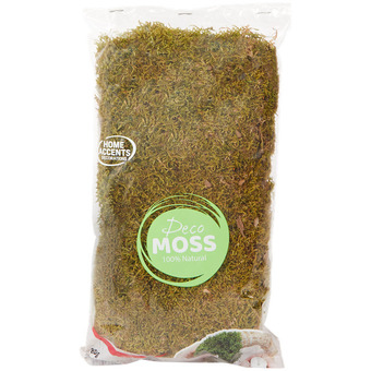 Action Musgo decorativo home accents oferta