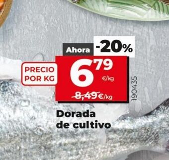 Maxi Dia Dorada oferta