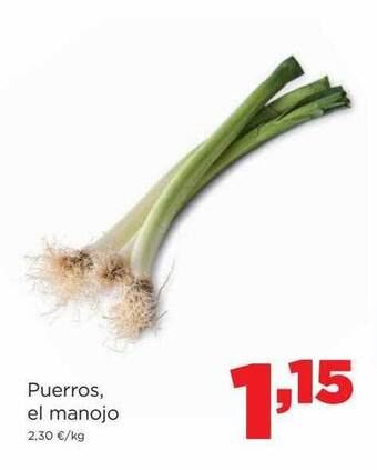 Alimerka Puerros el manojo oferta