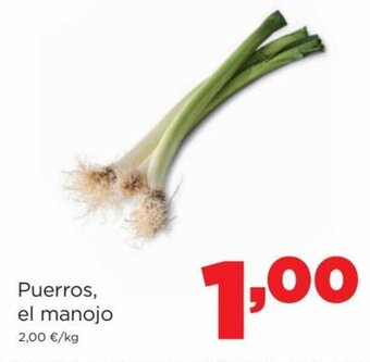 Alimerka Puerros el Manojo oferta