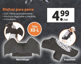Lidl Disfraz Para Perro oferta