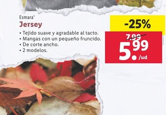 Lidl Jersey oferta